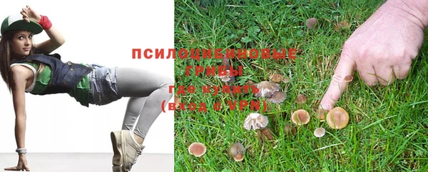 альфа пвп Нязепетровск