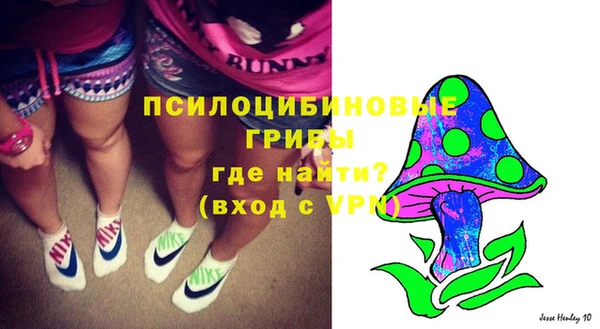 mdpv Ленинск-Кузнецкий