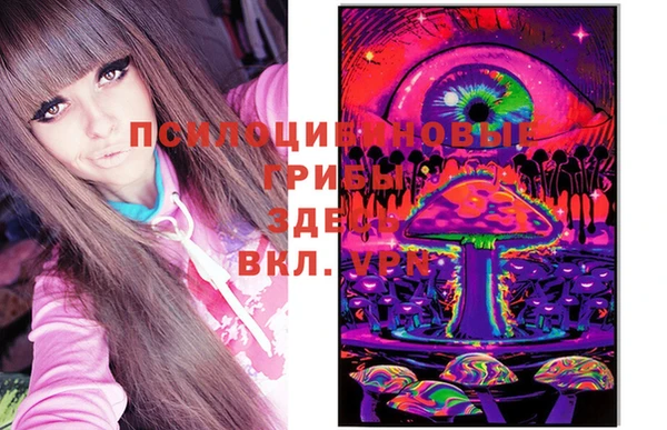 мескалин Няндома